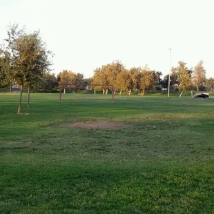 Soccer field