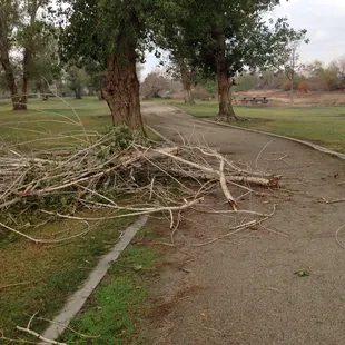 We finally had rain!