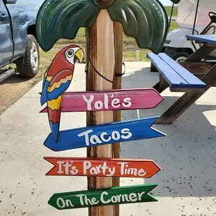 a palm tree with colorful signs