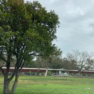 Car view  of the 50 yards line