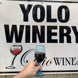 a hand holding a glass of wine