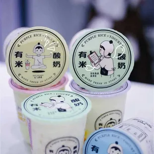 a variety of yogurts