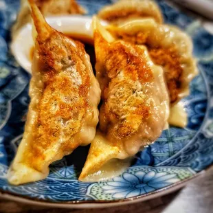 Gyoza