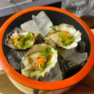 mussels, food, oysters, oysters and mussels, shellfish