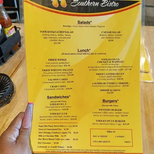 a hand holding a menu