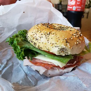 Grinder on Everything Bagel
