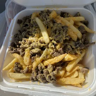 Carne Asada Fries
