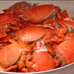 a large pot full of cooked crabs