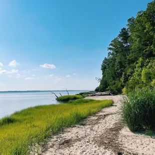 Fossil Beach