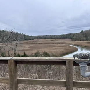 View by the Visitor Center
