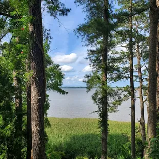York River. View from Gazebo.