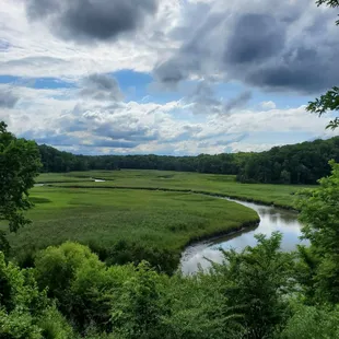 The wetlands. A great overlook.
