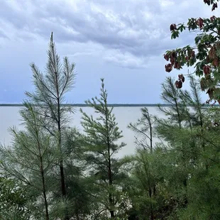 York River