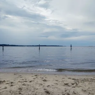 Missed the dolphins in this shot