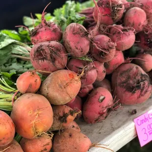 Candy cane beets from Penn Farm/Norma's produce were amazing. I bought them in early June and was told they'd be back in season come fall.