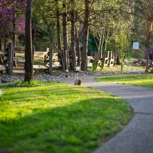 Pathway through Property