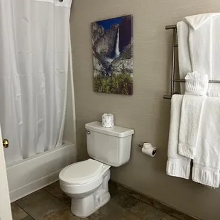 Bathroom clean and functional