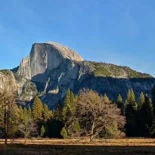 Yosemite Valley tour