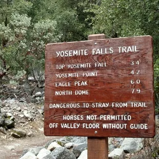 Sightseeing tours in yosemite