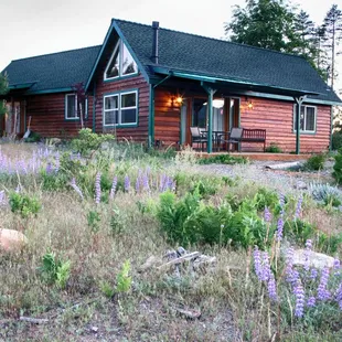 Lupin Cabin patio