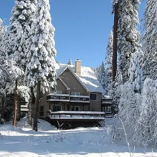 Winter Wonderland