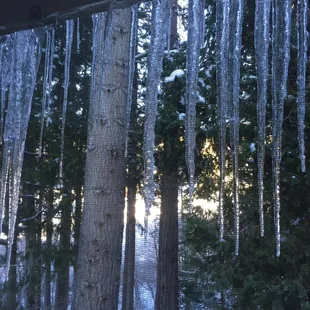 Beautiful icicles outside our window