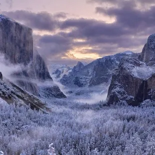 Yosemite national park