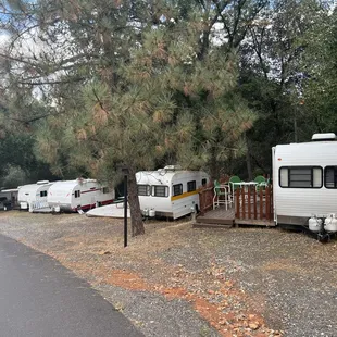 Camper Rentals