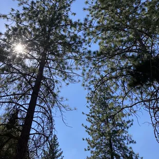 Yosemite sun  can't wait to go back