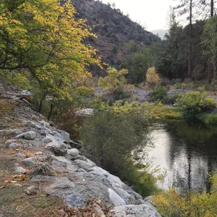 View from the log cabin.