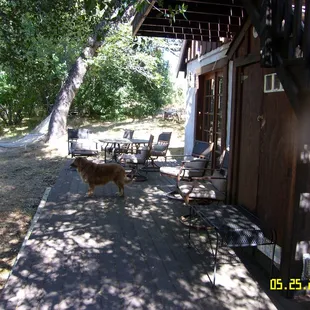 the side deck for the cottage, and Bernie checking out the horses