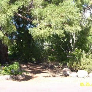 the path to the cottage