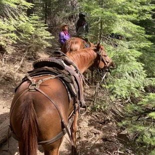 This was the peak of summer!