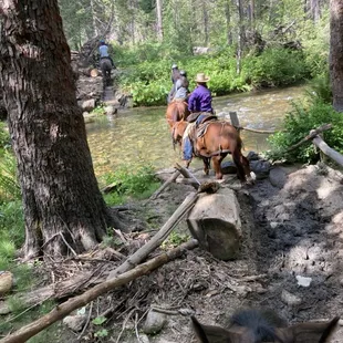 Crossing the stream!