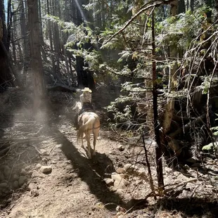 Captured Chloe in a Golden Hour moment :)
