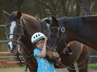 Shawna Dahl Quarter Horses & Horsemanship