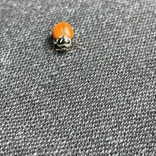 I was lucky to have a last big land on my leg as were were waiting for the tour to begin