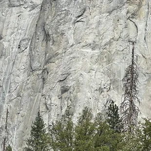 Hard to see but they are there