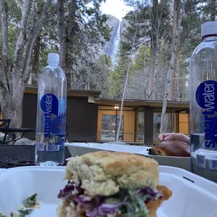 Waterfall view with my honey biscuit fried chicken sandwich