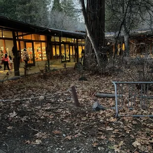 Yosemite village courtyard, December 28, 2023