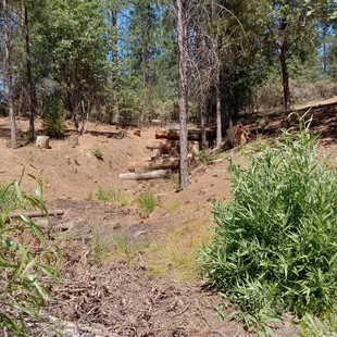 Redneck turd sifter. Was water passes over the logs then down through large downed branches.
