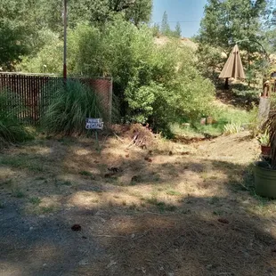 A giant pool of human feces intentionally hidden with foliage.