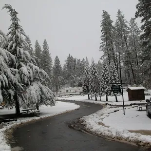 Campground Road with Snow
