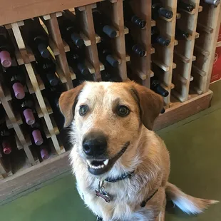 Daisy's First Wine Tasting