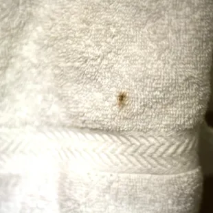 Stained towels - if you can, bring your own.