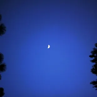 The moon from the back porch of Yosemite Summit.