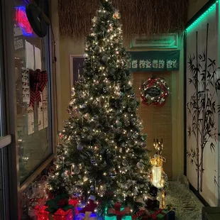 Christmas tree at entrance