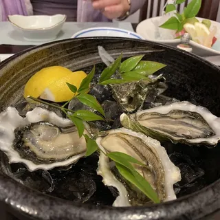 Fresh Oysters