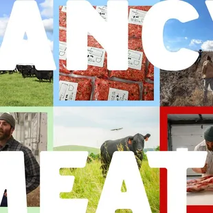 a collage of images of farm animals