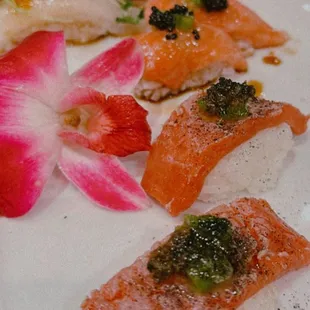 sushi, food, sushi and sashimi, sashimi